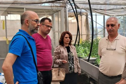 جامعة طرطوس تبحث تطوير البيوت الزراعية الذكية بالتعاون مع مؤسسة إكثار البذار